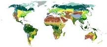 tipos de vegetación en las que se clasifican zonas geográficas