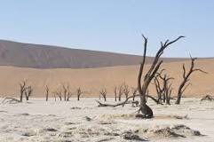 ¿Cuál es la latitud de los desiertos?