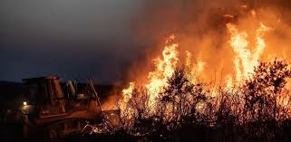 ¿Cuántas ha se han quemado en la Sierra de la Culebra?