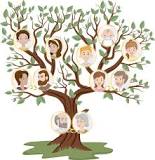 ¿Qué tipo de información es la que se proporciona el árbol genealógico?