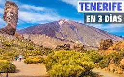 ¿Qué se puede ver en Tenerife Sur?