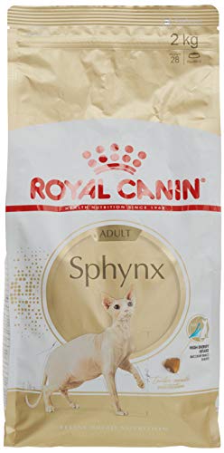 Comida gato sphynx cachorro - 3 - marzo 31, 2022