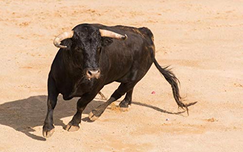 Juegos de torear toros en la plaza de toros - 27 - marzo 30, 2022