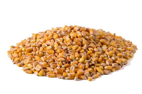 Saco maiz 40 kg - 3 - marzo 27, 2022