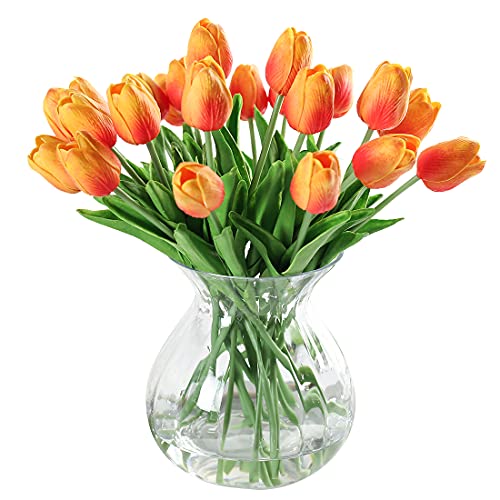 ¿Qué significado tienen los tulipanes naranjas? - 47 - febrero 16, 2022