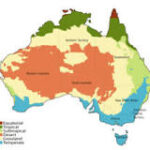 Explorando Australia: El Conteniente Más Grande del Hemisferio Sur