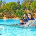 Nadando con Delfines en Cataluña