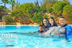 Nadando con Delfines en Cataluña - 3 - febrero 11, 2023