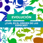 Evolución Naturalista: Representantes y Teorías
