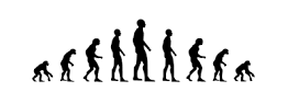 ¿Qué plantea el fijismo y el evolucionismo?