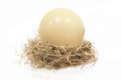 ¿Cuánto cuesta un huevo de avestruz?