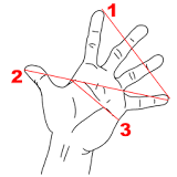 ¿Cuánto mide una mano cerrada?