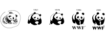 como se desplaza el oso panda