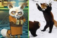 ¡Kung Fu Panda: El Poder de los Animales! - 3 - febrero 18, 2023
