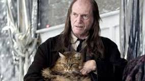 ¿Cómo se llama el gato de Hermione Cómo se pronuncia?