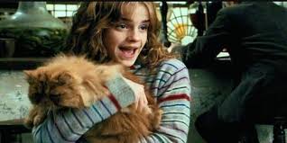 ¿Quién es el gato de Hermione?