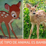 Bambi: El Cordero de los Bosques