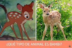 Bambi: El Cordero de los Bosques - 17 - febrero 11, 2023