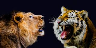 ¿Qué animal es más fuerte que el león?