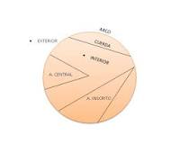 ¿Cómo se llama la línea que va del centro del círculo hasta cualquier extremo?
