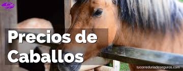 ¿Qué precio tiene el caballo de Pablo Hermoso de Mendoza?
