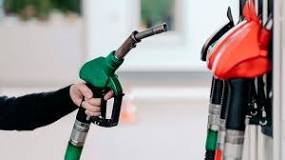 ¿Qué Gasolina Es Mejor Para una Desbrozadora? - 25 - febrero 20, 2023