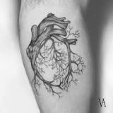 corazon y cerebro tatuaje