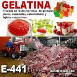 ¿Cómo se fabrica la gelatina en la industria?