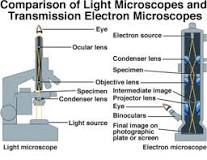 ¿Qué diferencia hay entre el microscopio óptico y electrónico de barrido?