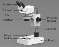 Manteniendo el Microscopio Estereoscópico - 3 - febrero 21, 2023