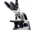 ¿Qué hay de diferente entre un microscopio óptico y electrónico?