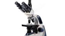¿Qué hay de diferente entre un microscopio óptico y electrónico? - 3 - febrero 21, 2023