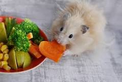 que frutas pueden comer los hamsters