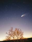 diferencias entre asteroides y cometas
