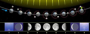 ¿Cuáles son las 4 fases de la Luna para niños?