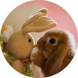 ¿Cómo saber si un conejo es feliz?