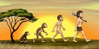 ¿Cómo se dieron los cambios evolutivos de los primeros seres humanos?