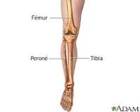 ¿Cómo se llama la espinilla de la pierna?