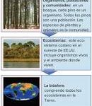 Condiciones Ambientales: La Clave para un Ecosistema Saludable