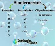 ¿Qué son los bioelementos y sus partes?