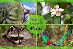 region norte de mexico flora y fauna