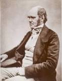 Darwin: Un Escritor Multifacético - 3 - febrero 22, 2023