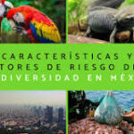 La Fisiografía Mexicana: Una Riqueza de Biodiversidad