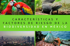 La Fisiografía Mexicana: Una Riqueza de Biodiversidad - 3 - febrero 24, 2023