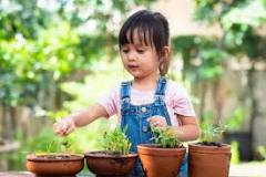 ¿Por qué es importante cuidar las plantas para niños?