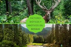 factores bioticos de la selva tropical