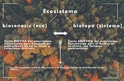 El Biotopo: Una mirada al Mundo Natural - 3 - febrero 24, 2023