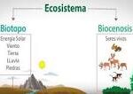Mapeando Ecosistemas