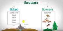¿Qué es un biotopo 3 ejemplos?