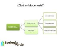 ejemplo de biocenosis